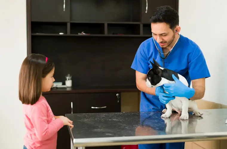 Veterinário em Guarulhos