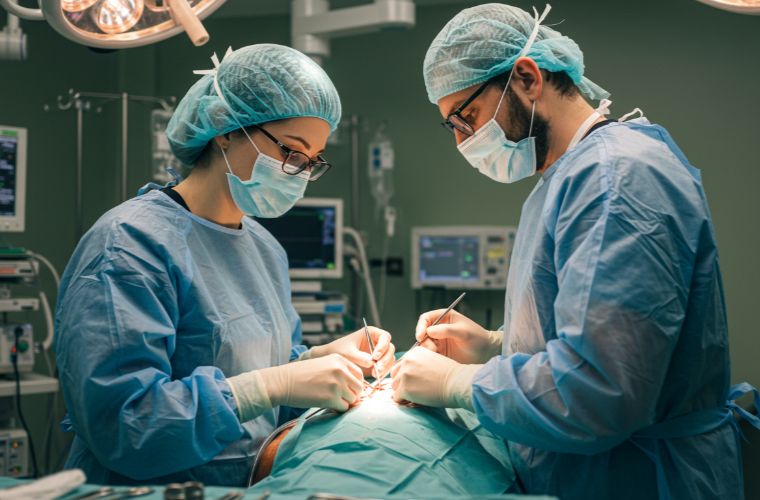 Acupuntura Veterinária em Guarulhos