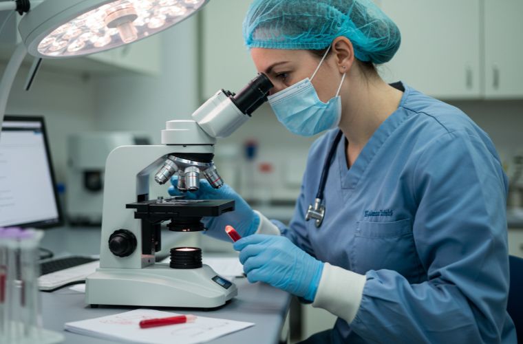 Acupuntura Veterinária em Guarulhos