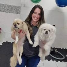 Cliente Alpha Hospital Veterinário